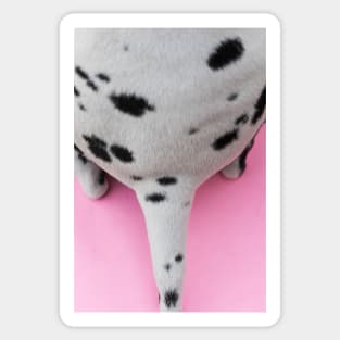 Dalmatian dog tail Sticker